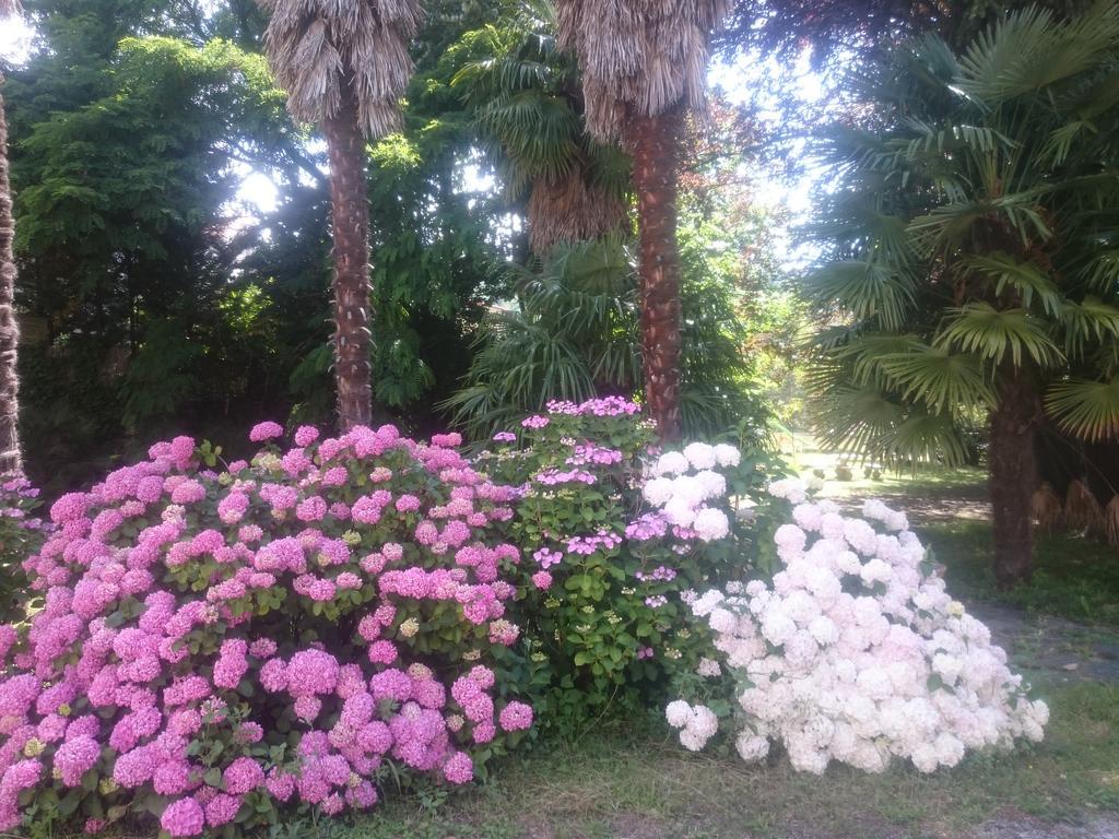 Hotel Le Mas Fleuri فيرنيه ليه با المظهر الخارجي الصورة